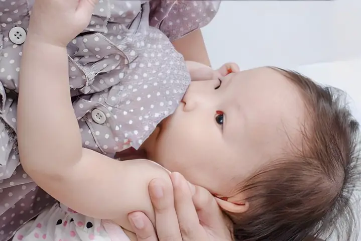 2sau Sinh Ăn Lá Lốt Có Mất Sữa Không?