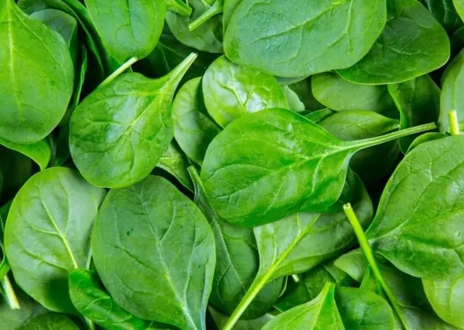 Bổ Sungcanxi Cho Bà Bầu