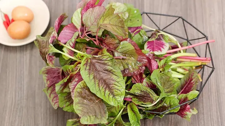 Bầu Ăn Rau Dền Được Không? Một Số Lưu Ý Khi Ăn Rau Dền Bầu Ăn Rau Dền Được Không? Một Số Lưu Ý Khi Ăn Rau Dền