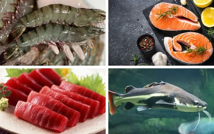 1những Loại Cá Biển Dễ Bị Nhiễm Thủy Ngân Nhất Bạn Không Nên Ăn