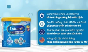 2.1 Sữa Enfamil Mỹ