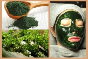 1Cách làm mặt nạ tảo xoắn trị nám đơn giản