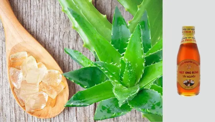 Mặt Nạ Lột Mụn Bằng Nha Đam Và Mật Ong