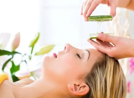 Cây Nha Đam (lô Hội)