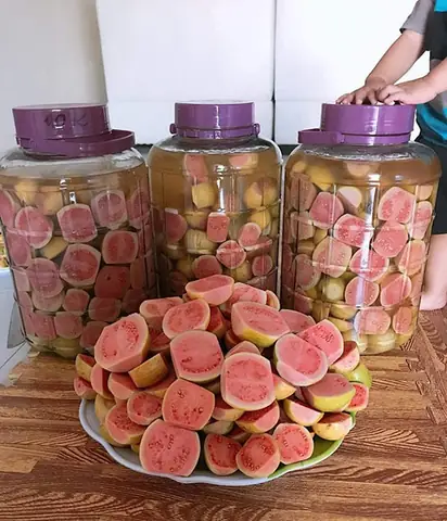 Cách ngâm rượu hà thủ ô được chia sẻ bởi các thầy thuốc Đông Y