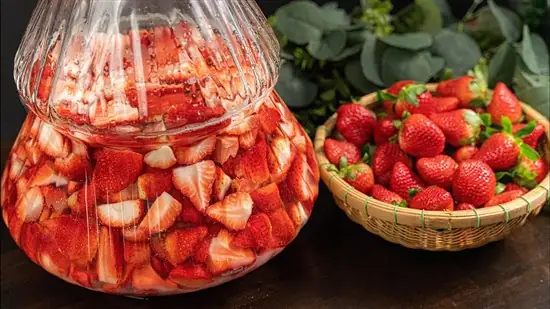 Bật mí cách ngâm rượu bìm bịp đơn giản tại nhà