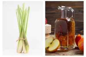 5Cách làm tinh dầu sả và giấm