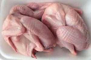 CÃ¡ch náº¥u chÃ¡o chim bá» cÃ¢u cho tráº» em