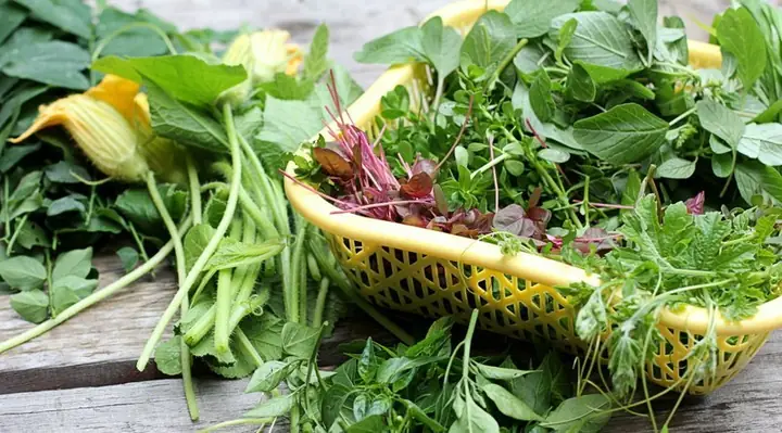 Cách nấu canh táºp tà ng ngon Äúng Äiá»u, giải nhiá»t ngà y hè Cách nấu canh táºp tà ng ngon Äúng Äiá»u, giải nhiá»t ngà y hè