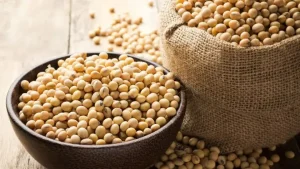 1Giá trị dinh dưỡng của hạt đậu nành