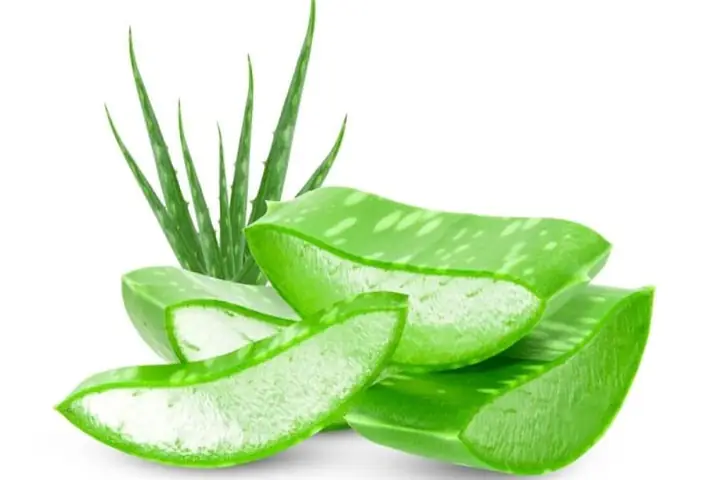 Nước ép dưa hấu nha đam