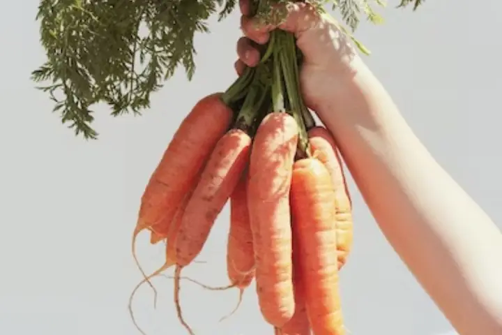 Nước ép dưa hấu và cà rốt