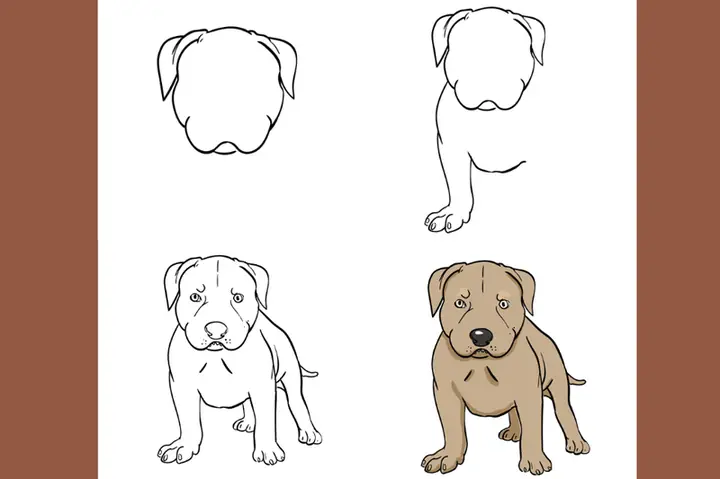 Hướng Dẫn Vẽ Chó Bull Mạnh Mẽ