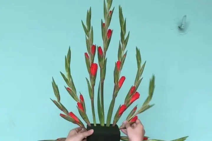 2Cách cắm hoa lay ơn đơn giản với xốp kiểu tròn xung quanh 2Cách cắm hoa lay ơn đơn giản với xốp kiểu tròn xung quanh