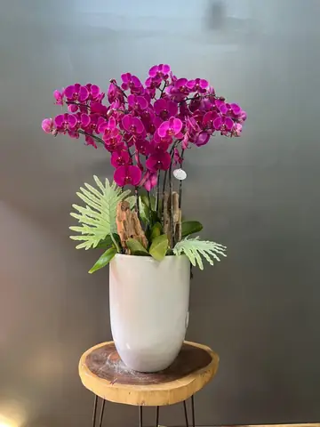 2. Cắm hoa lan nghệ thuật với Lan Hồ Điệp 2. Cắm hoa lan nghệ thuật với Lan Hồ Điệp