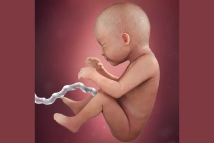 Tuần Thai Thứ 29 Tính Từ Khi Có Dấu Hiệu Mang Thai, Được Xem Là Giai Đoạn Nước Rút. Các Mẹ Luôn Lo Lắngsự Phát Triển Của Thai Nhicó Ổn Không? Hãy Cùng Chuyên Mụcthai Kỳtìm Hiểu Xemthai Nhi 29 Tuầntuổi Phát Triển Như Thế Nào Nhé.