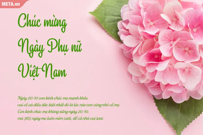 Chúc Mẹ 20/10 Vui Vẻ: Những Lời Chúc Ý Nghĩa Dành Tặng Người Phụ Nữ Bạn Yêu Thương Chúc Mẹ 20/10 Vui Vẻ: Những Lời Chúc Ý Nghĩa Dành Tặng Người Phụ Nữ Bạn Yêu Thương