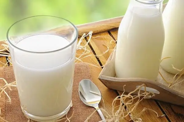 3. Khi nào bà bầu nên uống sữa tươi không đường