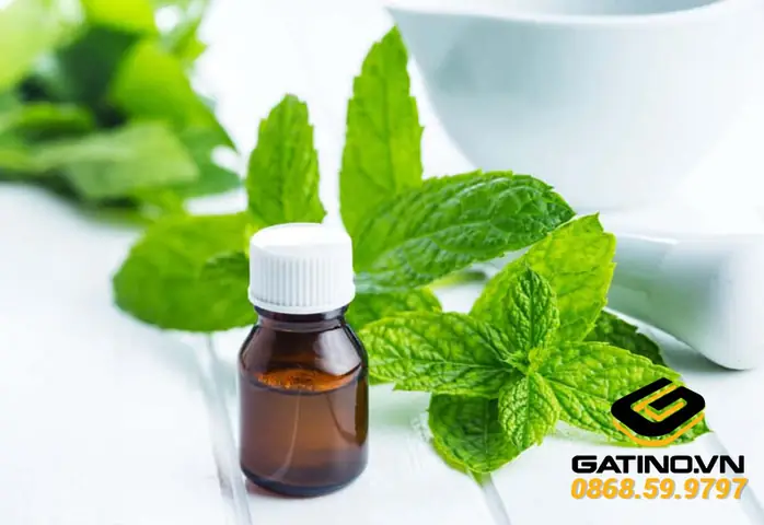 Bạc Hà Và Các Dẫn Xuất Bạc Hà Và Các Dẫn Xuất