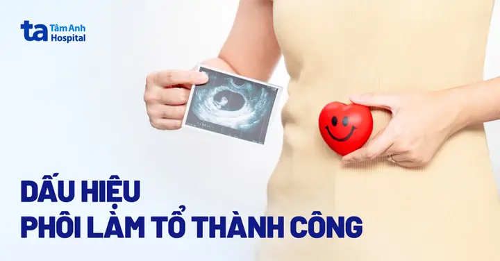 Dấu Hiệu Thai Vào Tử Cung (phôi Làm Tổ) Thành Công Bạn Cần Lưu Ý