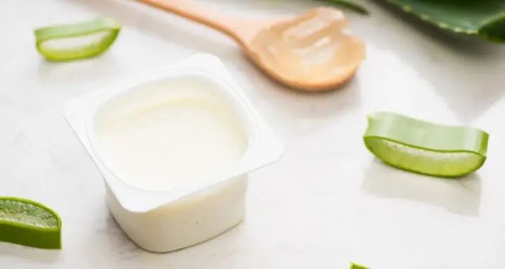 3.2. Kết hợp sữa chua với nha đam