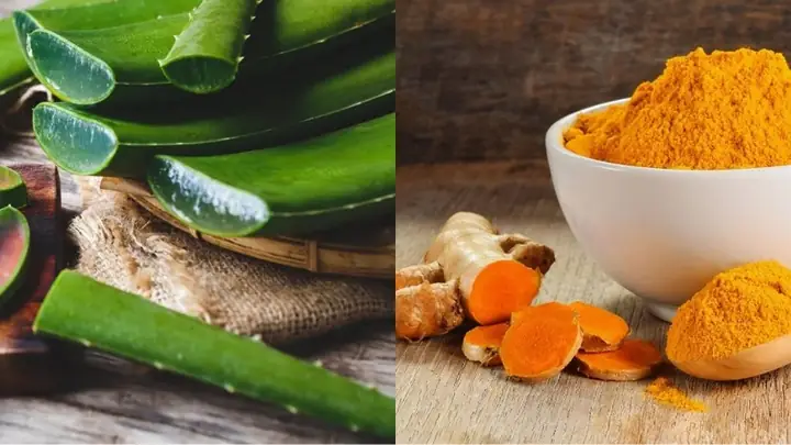 1gel Nha Đam Và Nghệ