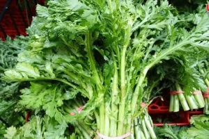 1Thành phần dinh dưỡng của rau tần ô