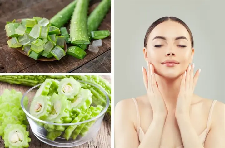 8cách Làm Mặt Nạ Khổ Qua Với Nha Đam