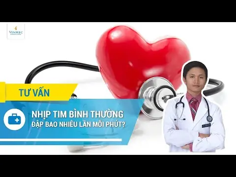 Nhịp Tim Thai Nhi Dự Đoán Giới Tính? Nhịp Tim Thai Nhi Dự Đoán Giới Tính?