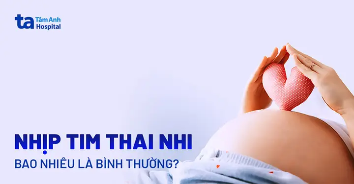 Nhịp Tim Thai Nhi Là Gì? Chỉ Số Bao Nhiêu Là Bình Thường? Nhịp Tim Thai Nhi Là Gì? Chỉ Số Bao Nhiêu Là Bình Thường?