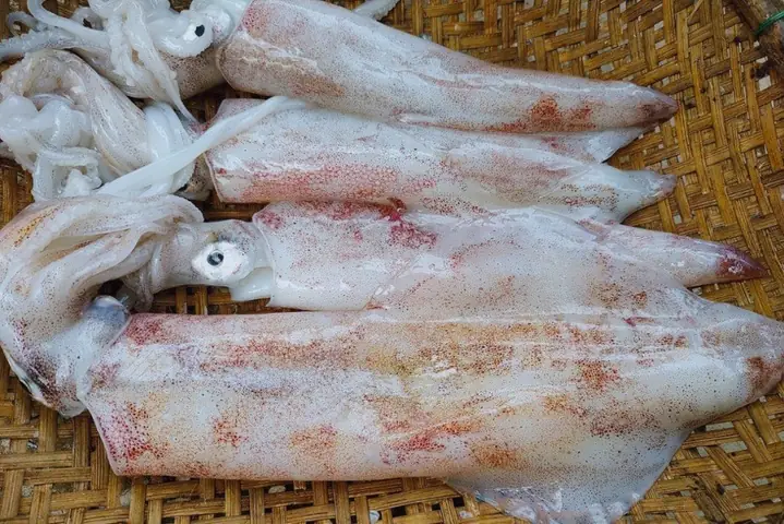 Mẹ Sinh Mổ Ăn Mực Được Không?