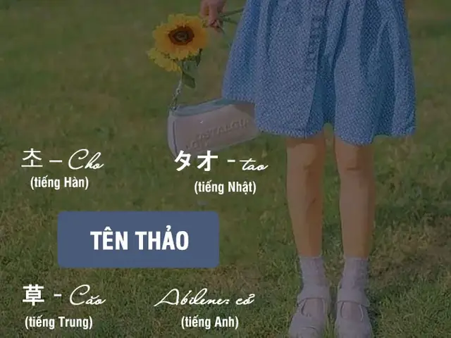 Tên Thảo Trong Tiếng Anh, Tiếng Trung, Tiếng Nhật, Tiếng Hàn