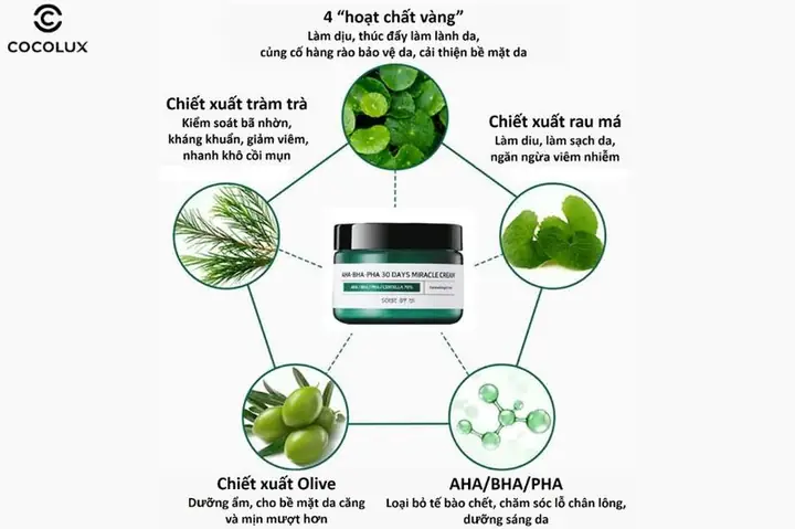 Thành Phần Chính Thành Phần Chính