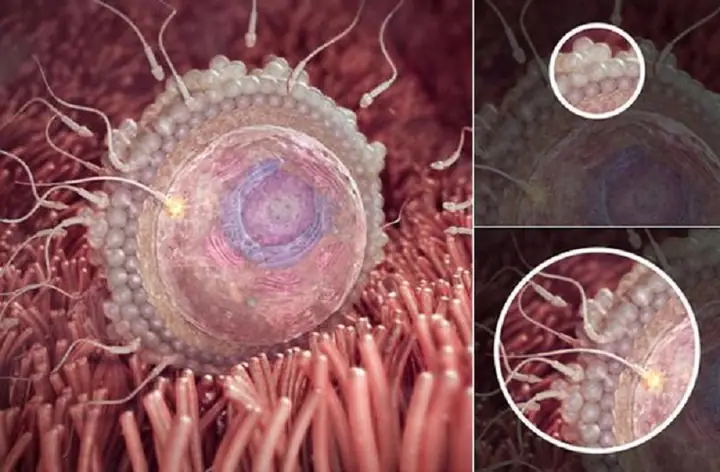 Tuần Thứ 1 - Thứ 4