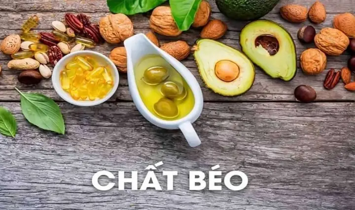 Chất Béo
