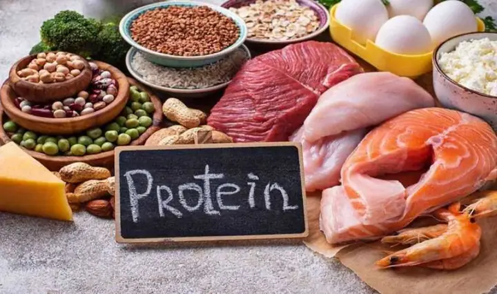 Chất Đạm (protein)