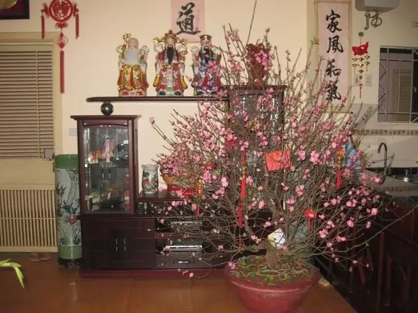 Trang Trí Tết Nguyên Đán Bằng Cây Đào