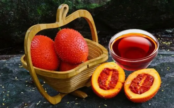 1dầu Gấc Là Gì? Những Công Dụng Tuyệt Vời Của Dầu Gấc