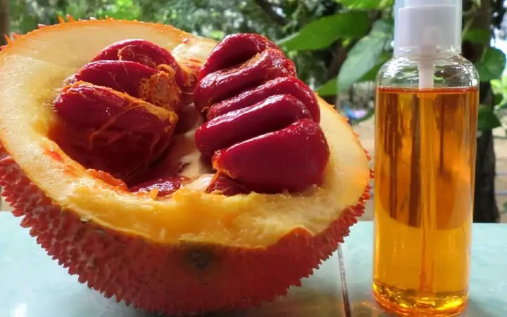 1dầu Gấc Là Gì? Những Công Dụng Tuyệt Vời Của Dầu Gấc