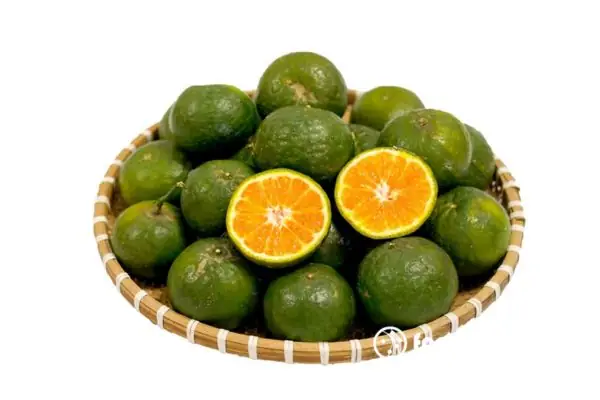 Cam Sành Vắt Nước – Nguồn Dinh Dưỡng Bổ Sung Sau Khi Tập Luyện Cam Sành Vắt Nước – Nguồn Dinh Dưỡng Bổ Sung Sau Khi Tập Luyện