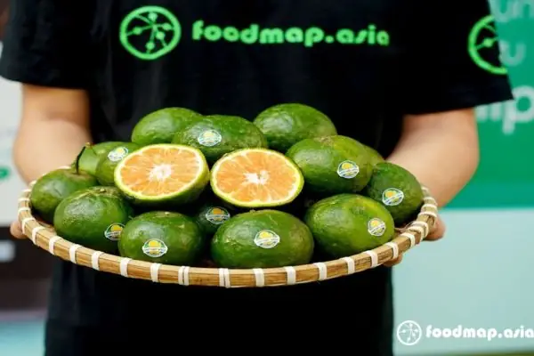 Cam Sành Vắt Nước Chất Lượng Tại Foodmap Cam Sành Vắt Nước Chất Lượng Tại Foodmap