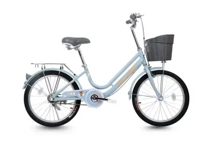 Xe Đạp Trẻ Em Raccoon Lina 20 Inch