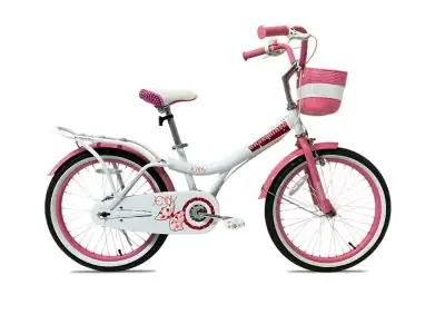 Xe Đạp Trẻ Em Royalbaby Jenny 20 Inch