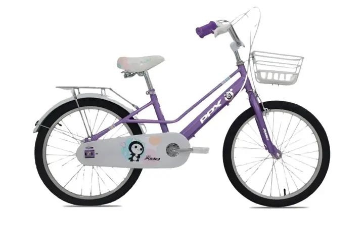 Xe Đạp Trẻ Em Xdd 20 Inch