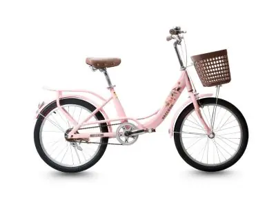 Xe Đạp Trẻ Em Raccoon Rina 20 Inch