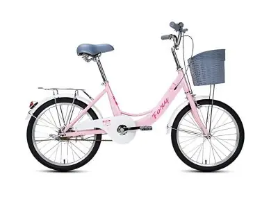 Xe Đạp Trẻ Em Bé Gái Foxy Linda 1 20 Inch