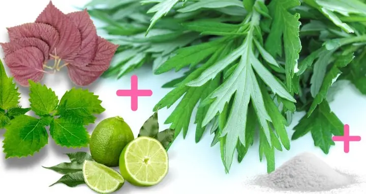 Xông Lá Tía Tô Cùng Rau Kinh Giới, Ngải Cứu