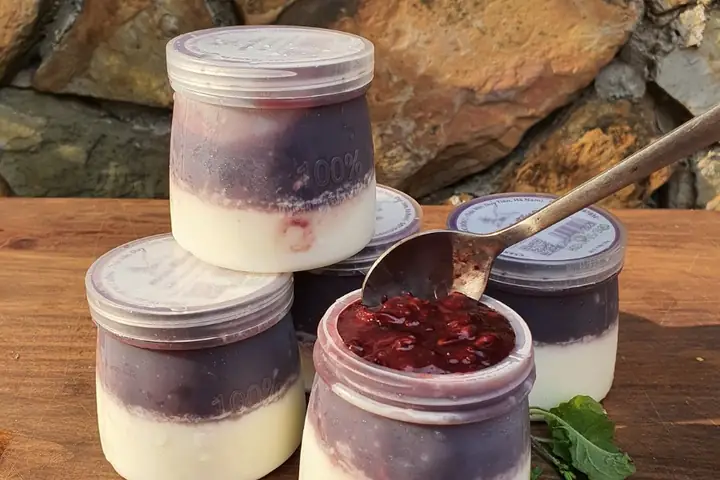 Hộp Sữa Chua Nếp Cẩm Bao Nhiêu Calo?