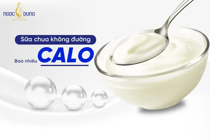 Hũ Sữa Chua Không Đường Bao Nhiêu Calo? Ăn Có Béo Không?