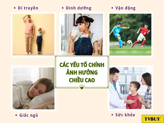 Các Yếu Tố Ảnh Hưởng Đến Sự Phát Triển Chiều Cao Của Trẻ 11 Tuổi